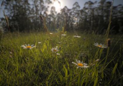 Прикрепленное изображение: MG9A4316_7_8_Enhancer_w.jpg